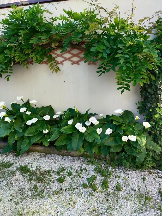 Hotel Goldene Rose Rimini